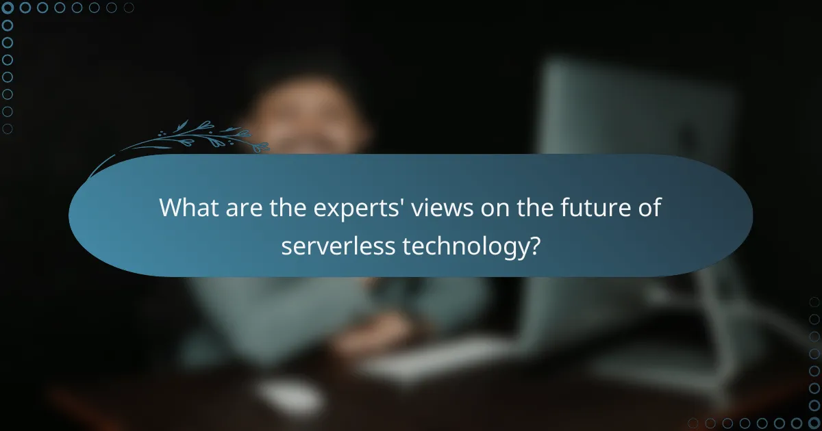 What are the experts' views on the future of serverless technology?